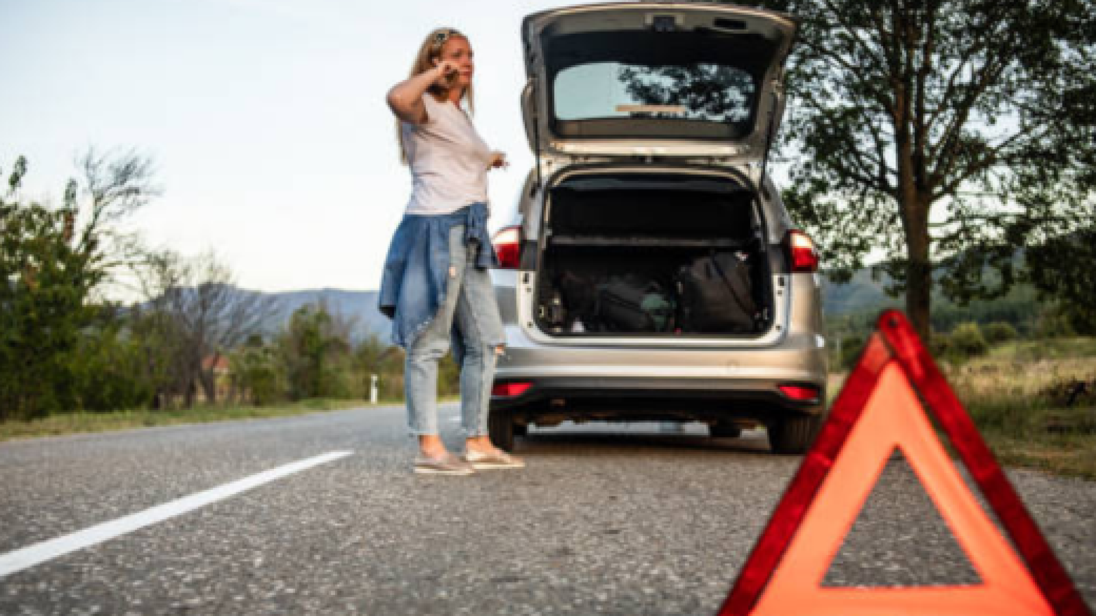 Roadside Assistance
